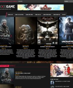 Theme wordpress review game